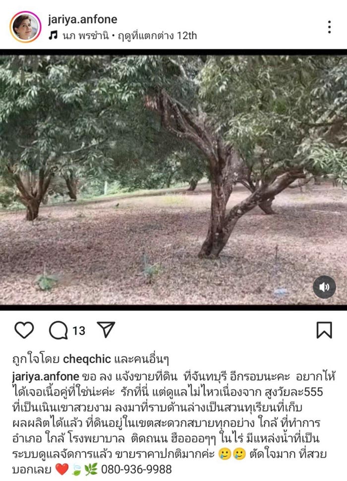 นก จริยา ขายที่สวนทุเรียน