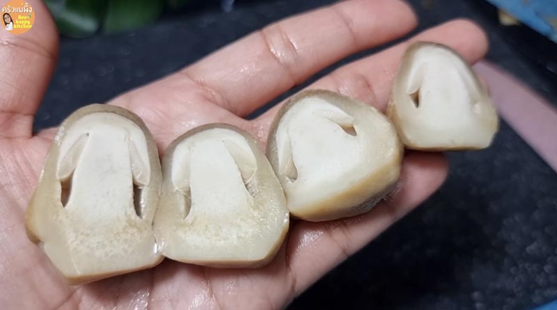 เห็ดฟาง