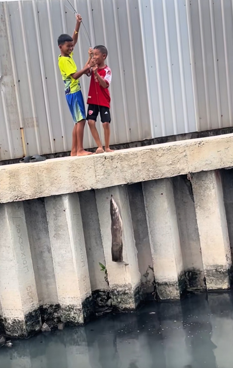 เด็กตกปลา