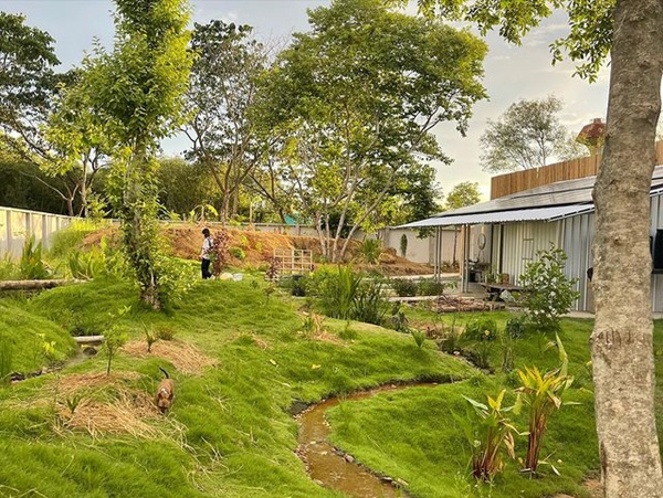 สวน โทนี่ แก้ว