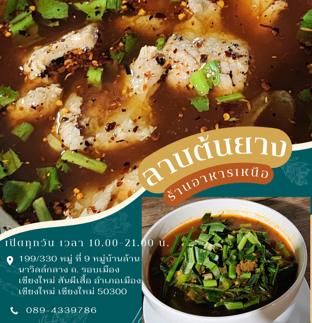 ลาบต้นยาง