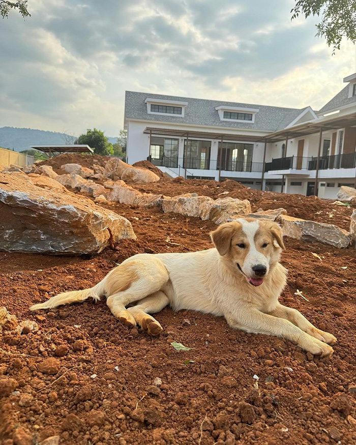 หมา จ๊ะจ๋า พริมรตา