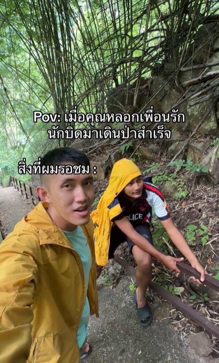 เดินป่า