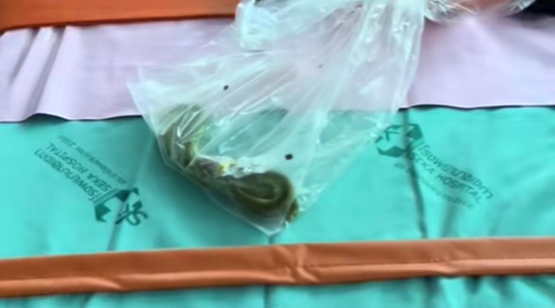 โดนงูกัด