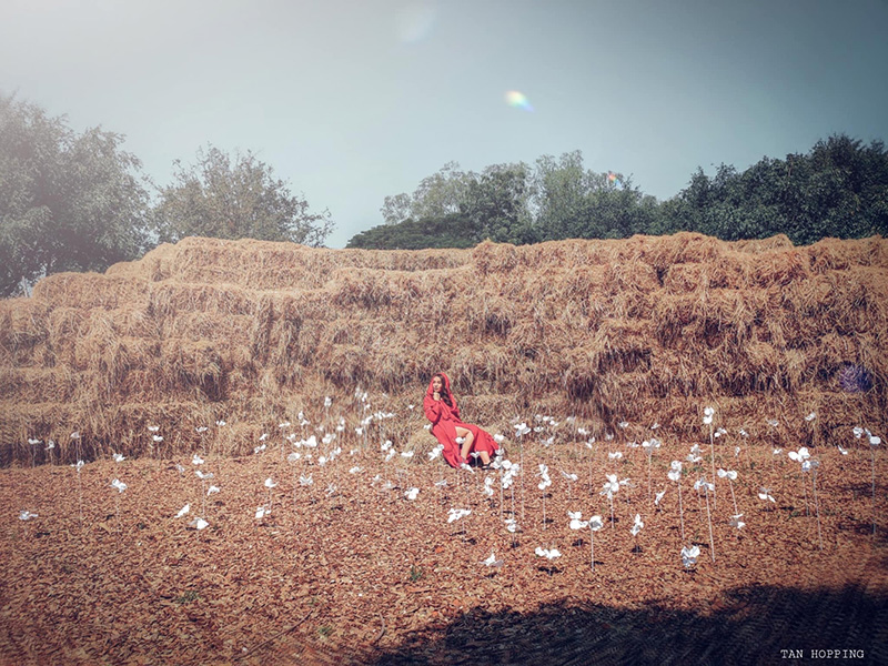 งานรักดอกราชบุรี