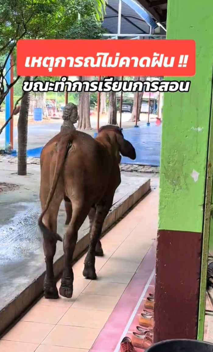 เรียนหนังสือ