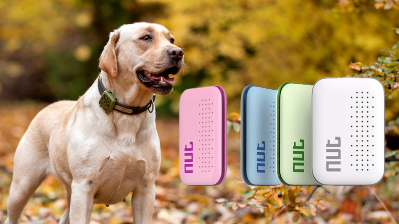 Pet Tracker Nut Mini