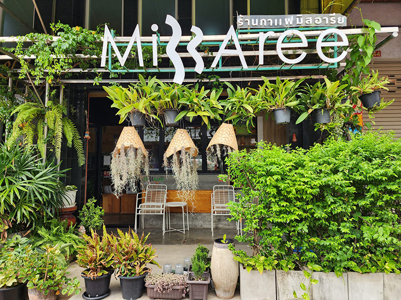 ร้านคาเฟ่ยโสธร