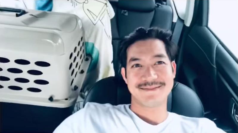 เวียร์ วิกกี้