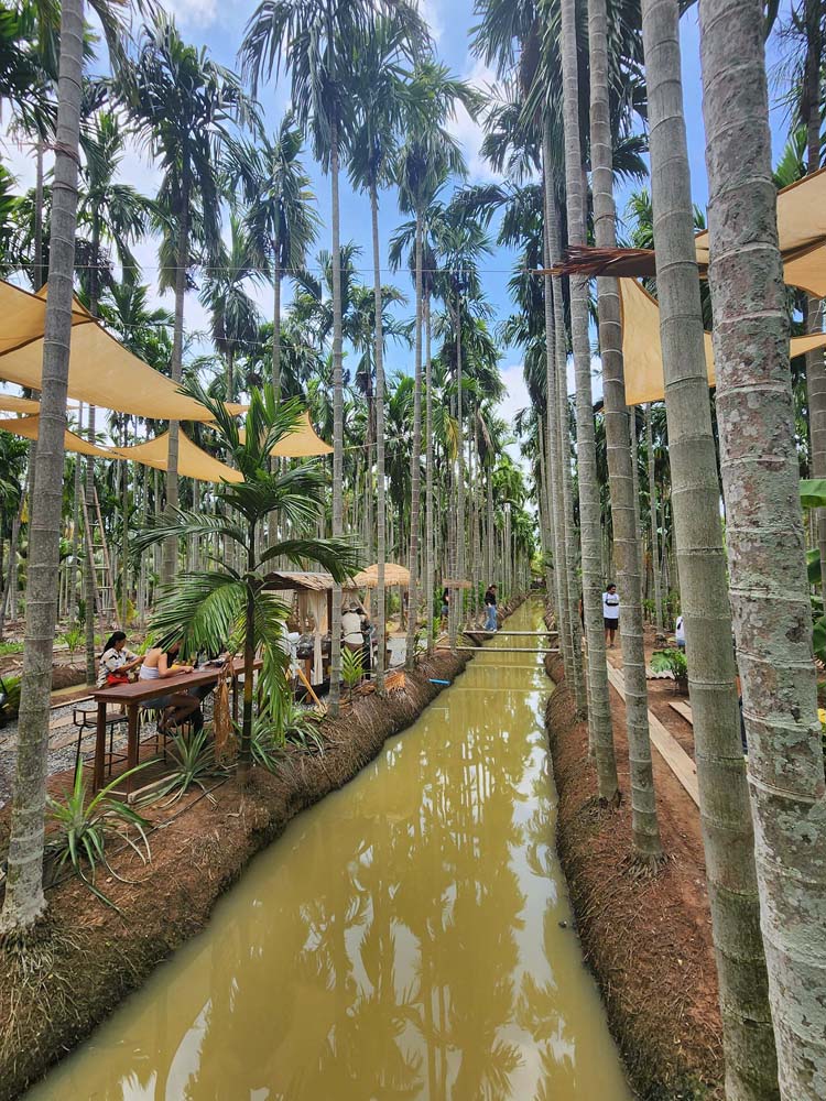 ฌาณ หมาก Coffee & Farm บรรยากาศร่องสวน