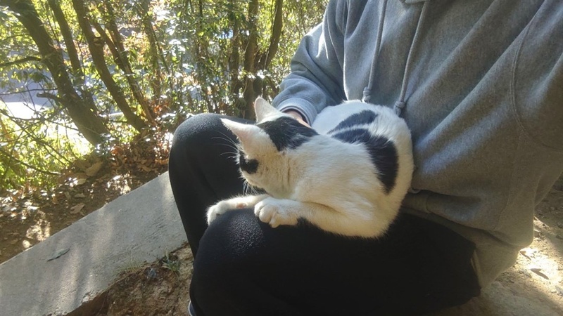 ไหว้ขอพร