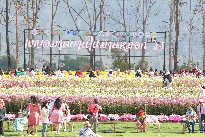 งานเบญจมาศบานในม่านหมอก 2569