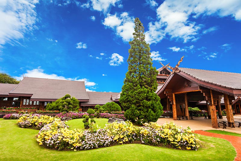 สีสันแห่งดอยตุง