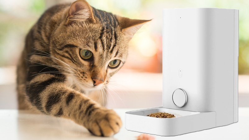 เครื่องให้อาหารแมวอัตโนมัติ
