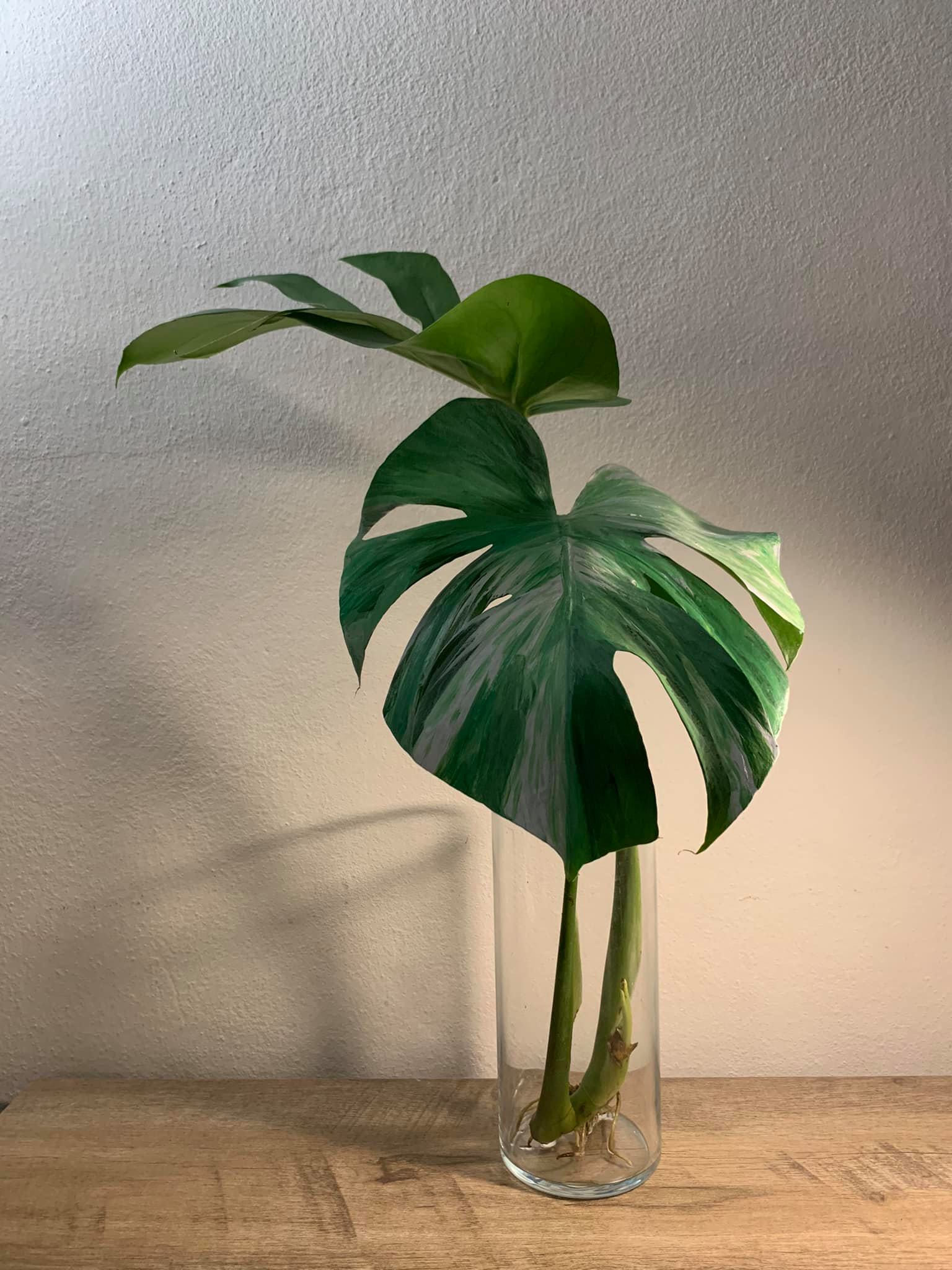 เพ้นท์ต้นไม้