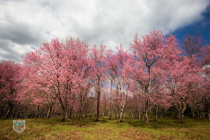 ภูลมโล 2569