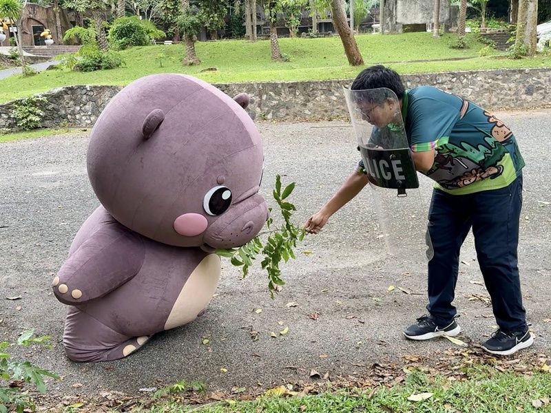 หมูเด้ง