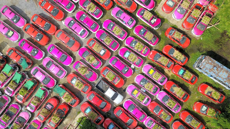 สุสานแท็กซี่ กรุงเทพฯ