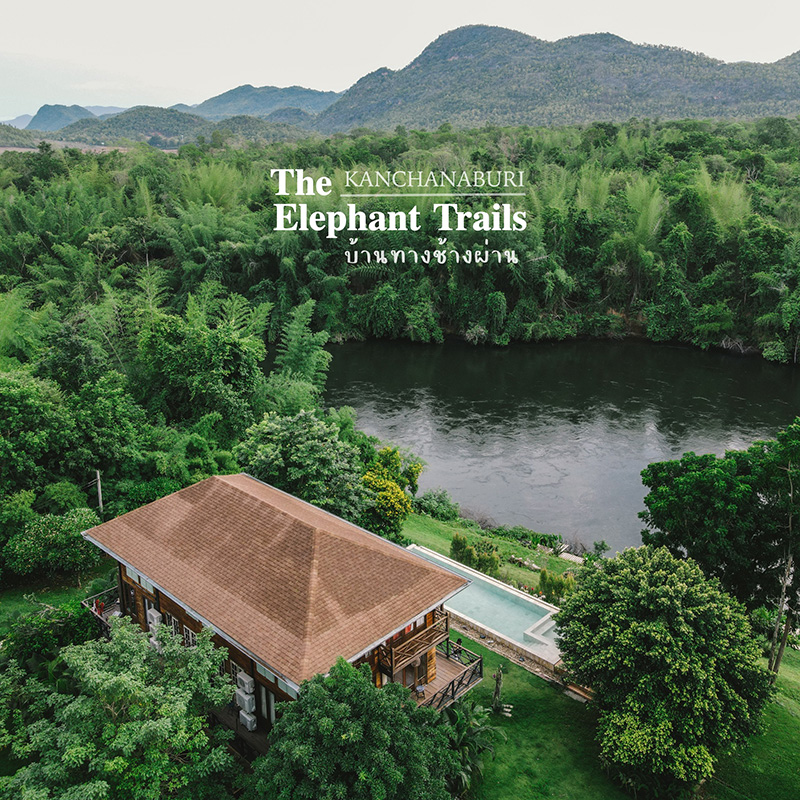 The Elephant Trails