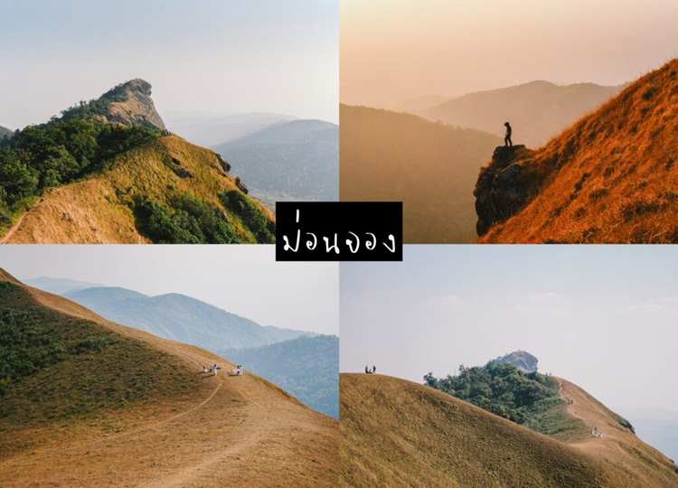 เที่ยวเชียวใหม่