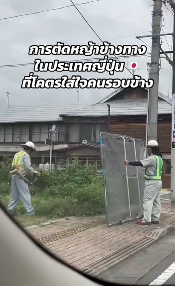 ตัดหญ้า