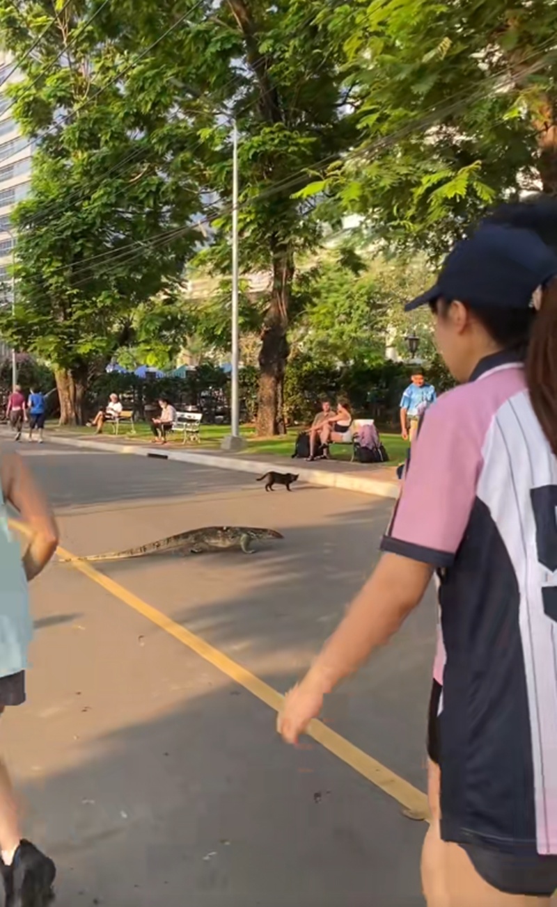 สวนลุมพินี