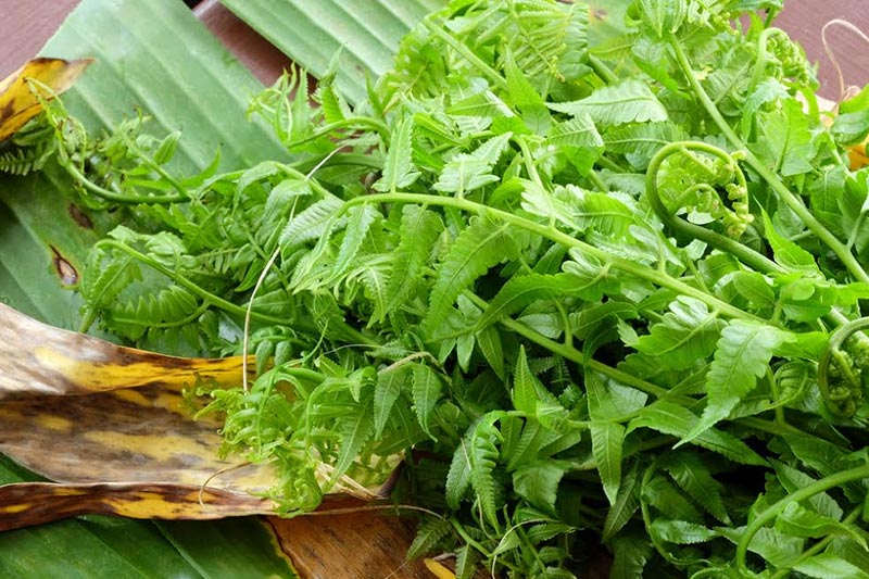 ผักที่มีธาตุเหล็กสูง