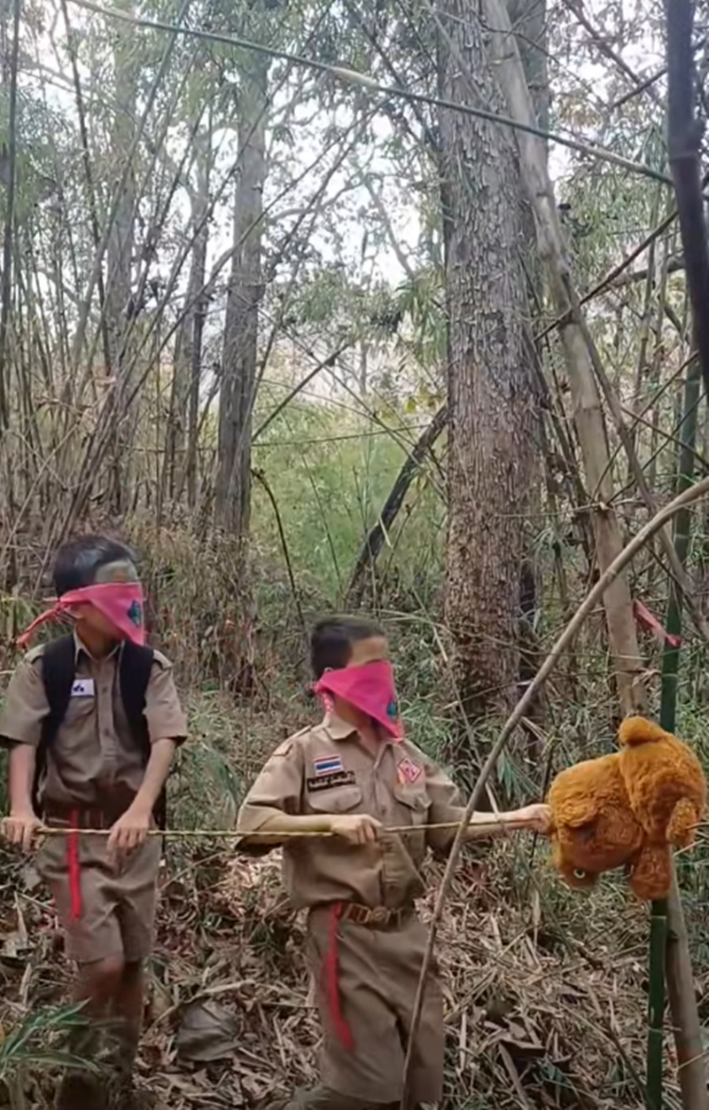 เดินป่า