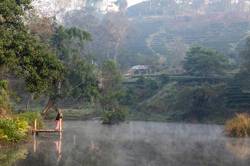 ดอยวาวี