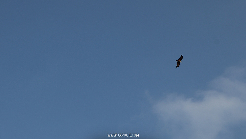 เที่ยวระยอง