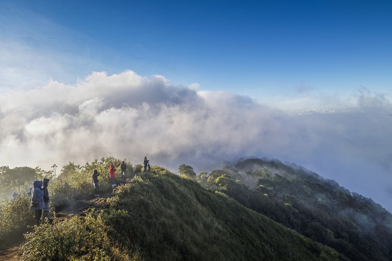 ดอยหน้าหนาว