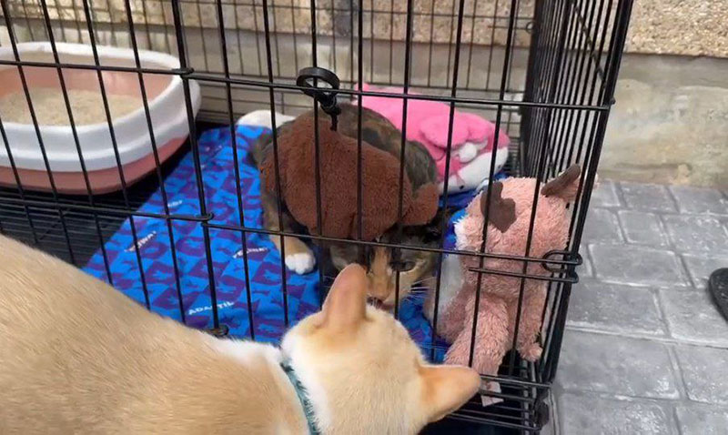  สรยุทธ สุทัศนะจินดา เล่าโมเมนต์ จอห์น เลอา เผชิญหน้า โดนแซว ไม่เลี้ยง แต่อยู่บ้านแล้ว