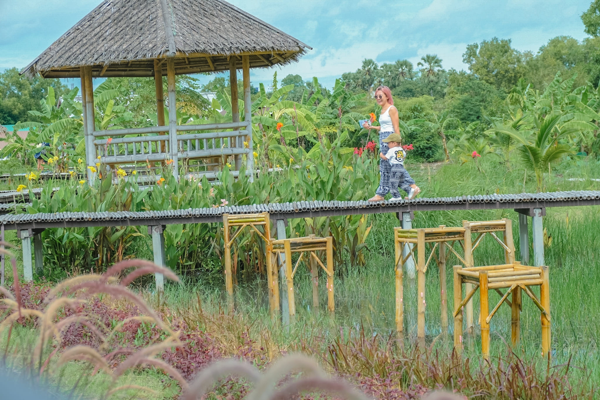 Wisdom King Farm