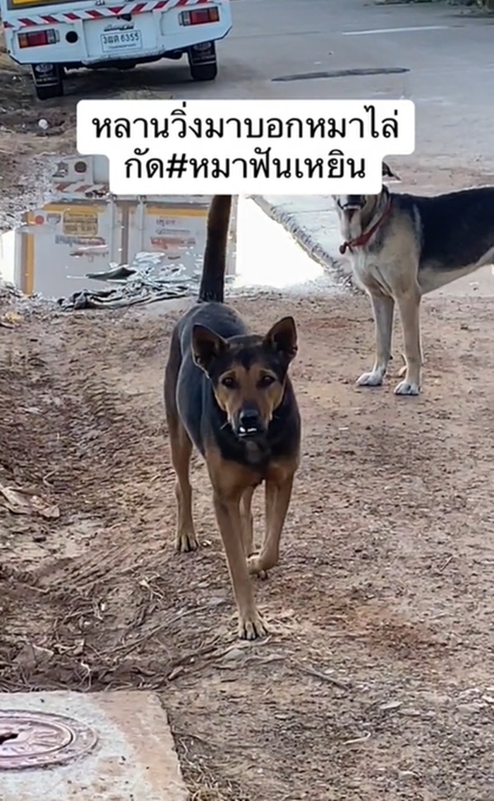 หมากัด