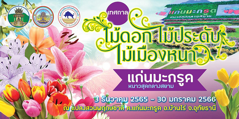 ที่เที่ยวเดือนมกราคม