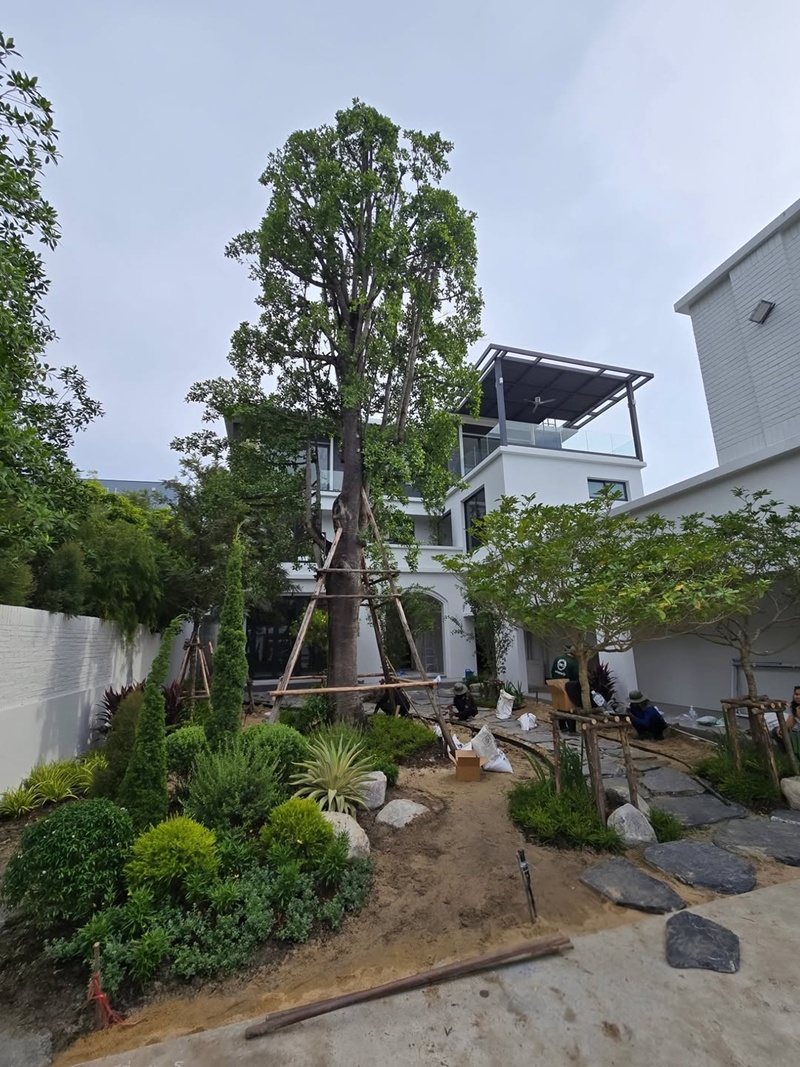 บ้านเต๋า สมชาย