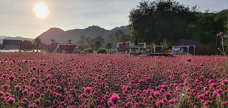 สวนดอกไม้เขาใหญ่