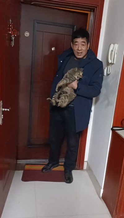 เลี้ยงแมว