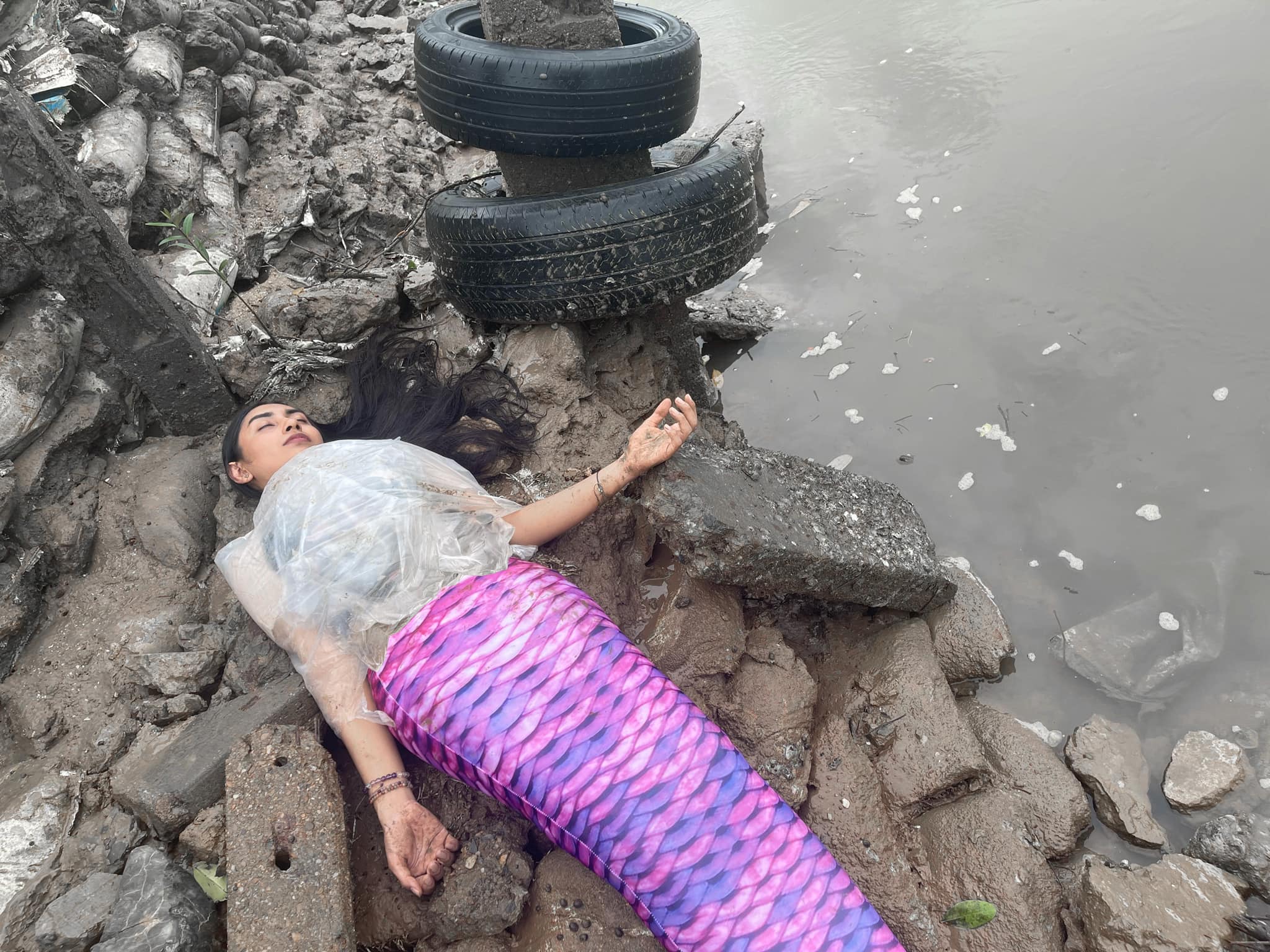 นางเงือก