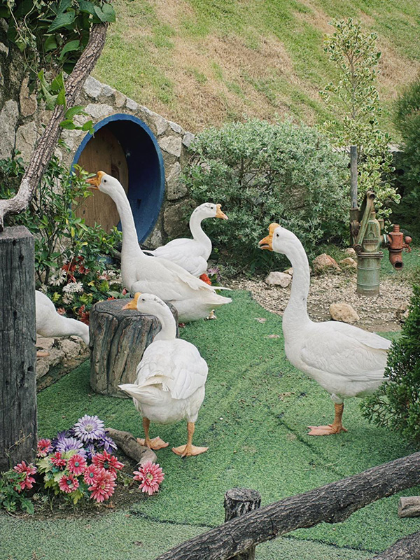 ร้านคาเฟ่ Google Trend