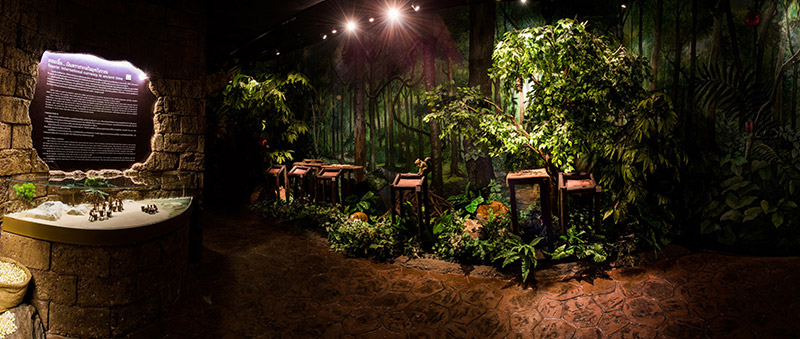 พิพิธภัณฑ์เหรียญกษาปณานุรักษ์