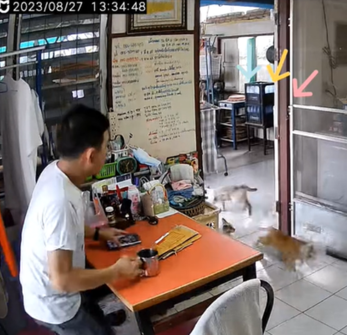 เปิดประตู