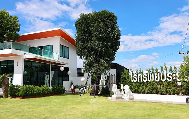 ไร่ทรัพย์ประยูร ที่เที่ยวลพบุรี
