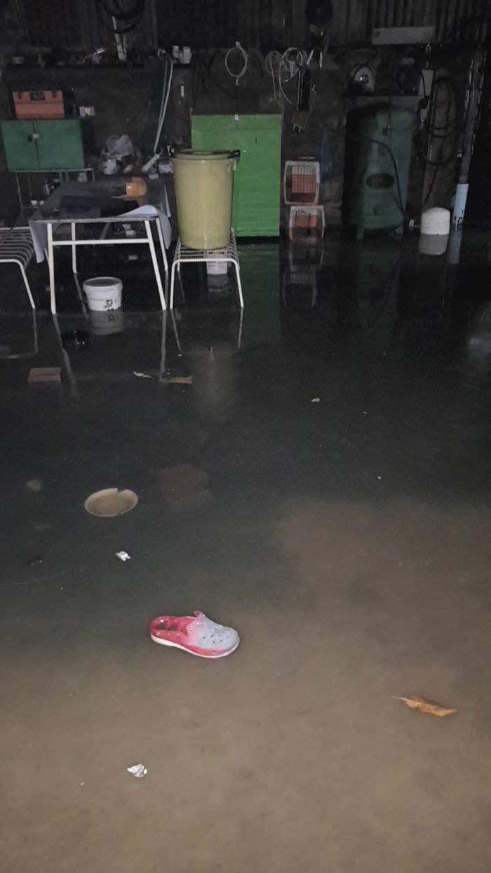 ริท เรืองฤทธิ์