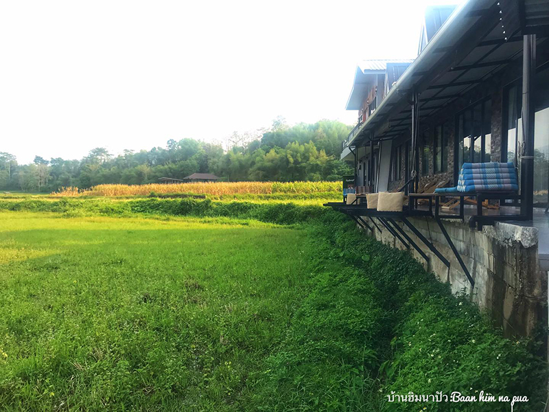 ที่พักวิวทุ่งนา