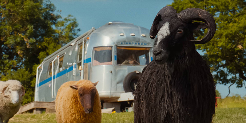 The Sheep Detectives แก๊งแกะรอยยอดนักสืบ หนังใหม่พฤษภาคม 2569 หนังใหม่ 2026 ภาพตัวอย่าง