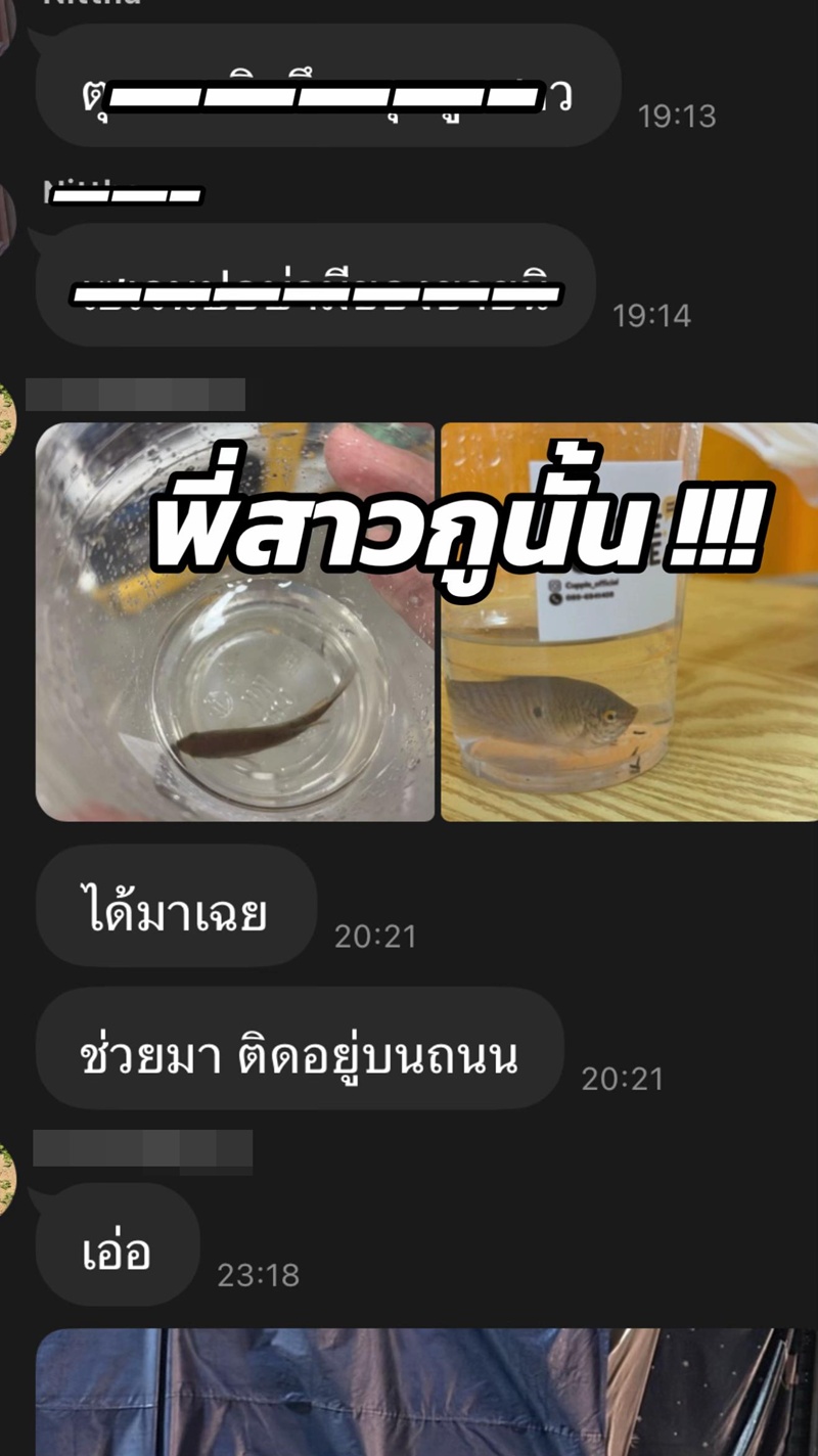ตุนเสบียง