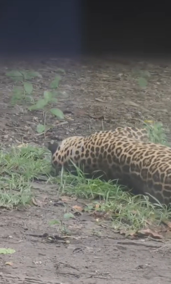 ขโมยของ