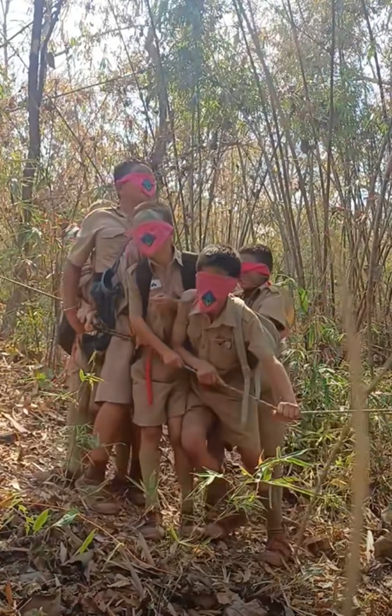 เดินป่า