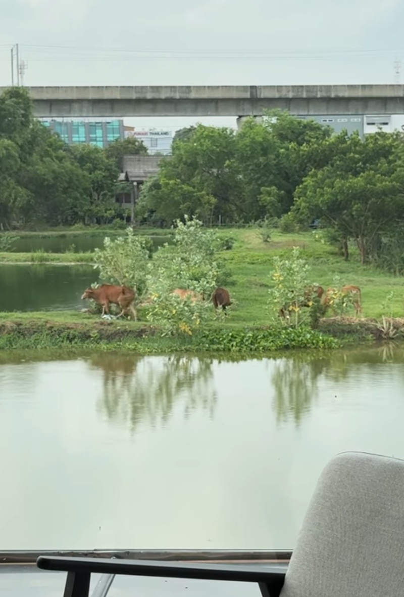 บ้านนาย ณภัทร